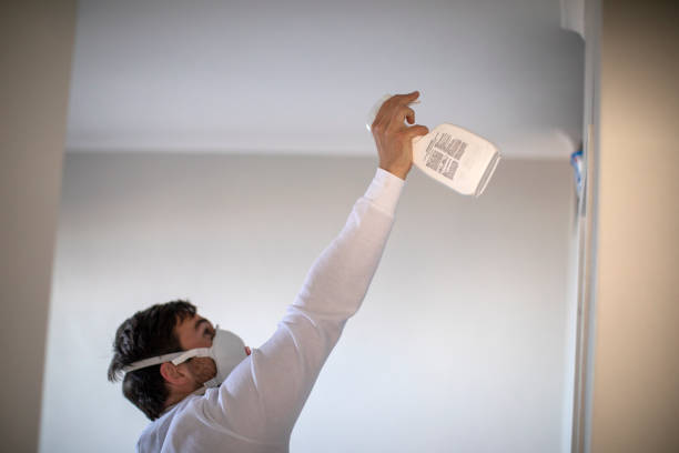 Best Bathroom Mold Remediation in Brentwood, NY